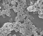 New material could improve delivery and effectiveness of mRNA vaccines