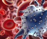 Muscle wasting in cancer tied to blood vessel dysfunction