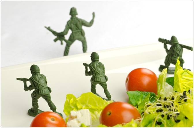 Image Credit: MilaCroft / Shutterstock
