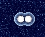 Customizing the Cellular Microenvironment to Improve Physiological Relevance